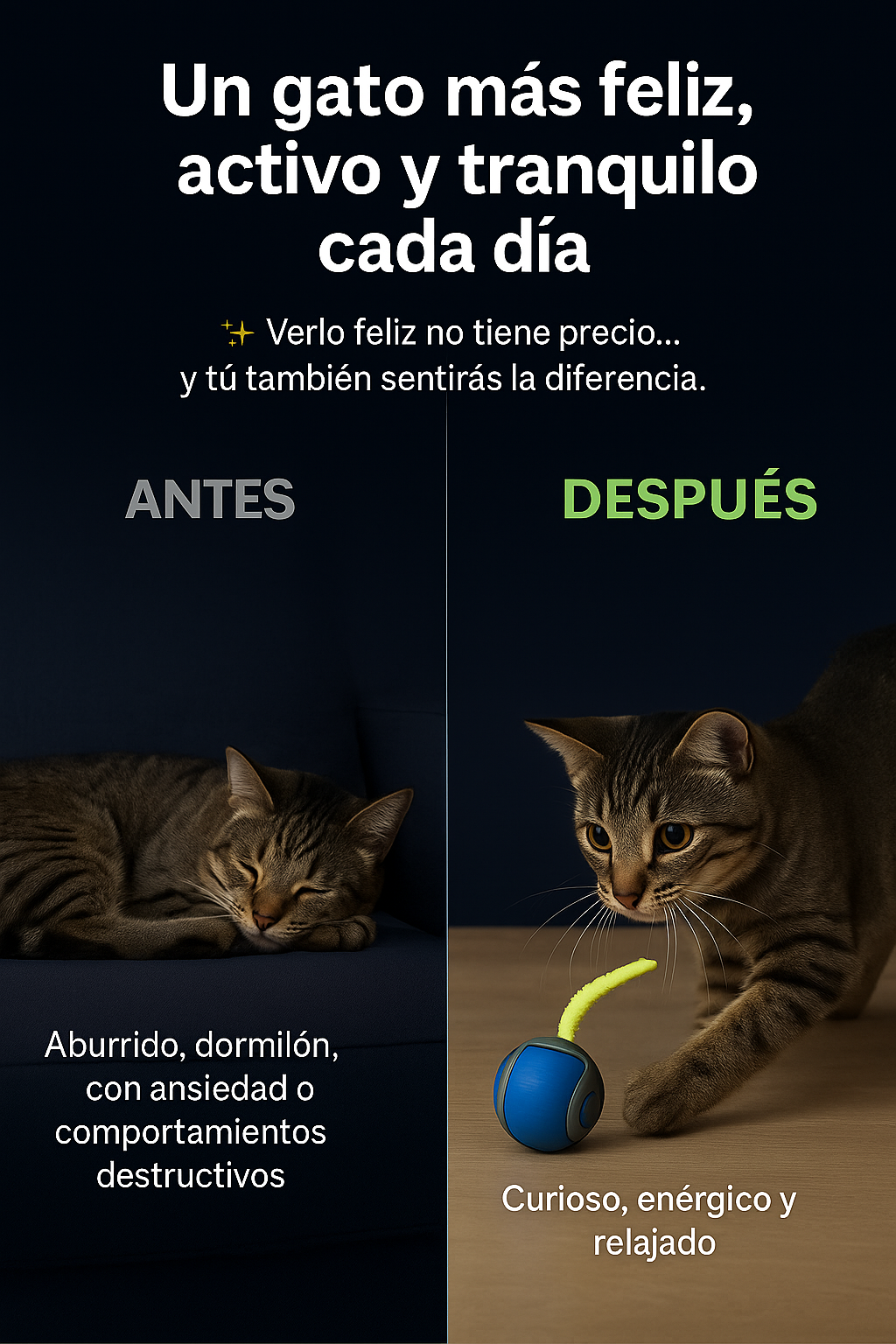 Movocat** Diversión para gatos