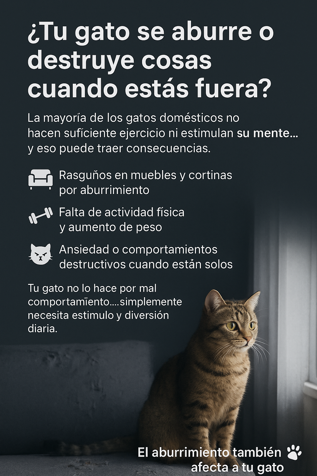 Movocat** Diversión para gatos