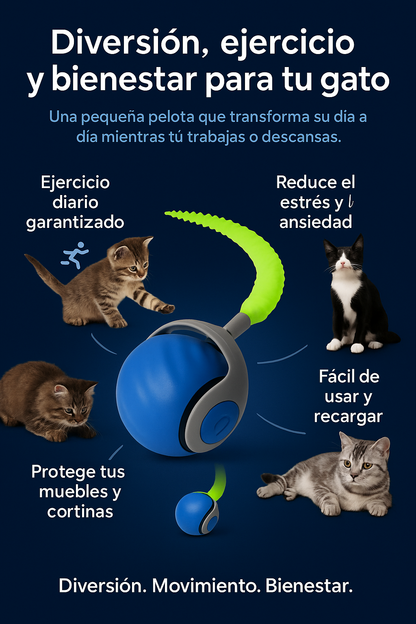Movocat** Diversión para gatos