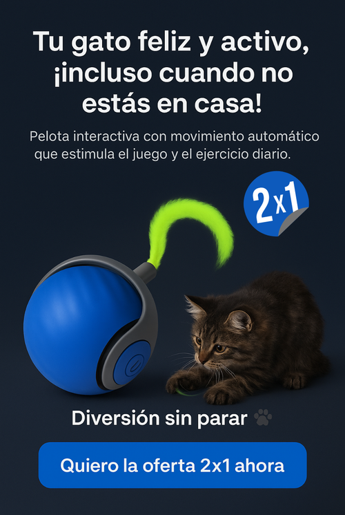 Movocat** Diversión para gatos