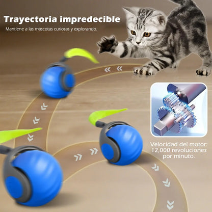 MovoCat* + Diversión para tu mascota.