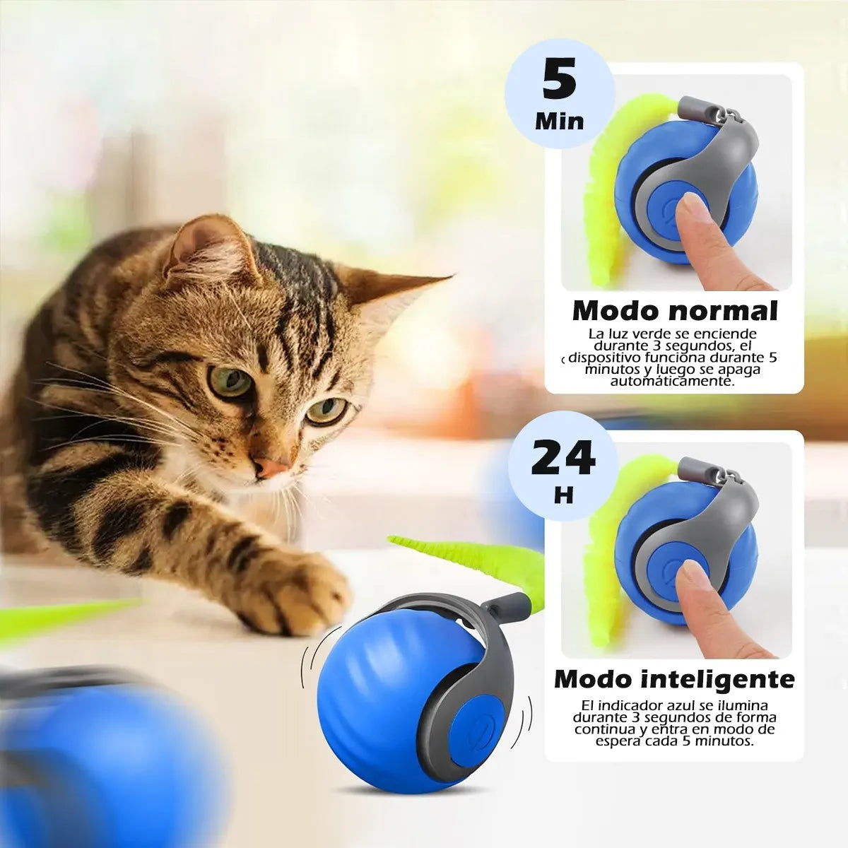 MovoCat* + Diversión para tu mascota.