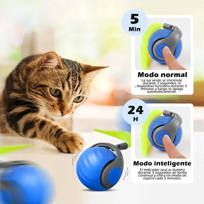 MovoCat* + Diversión para tu mascota.