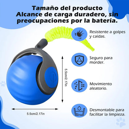 MovoCat* + Diversión para tu mascota.