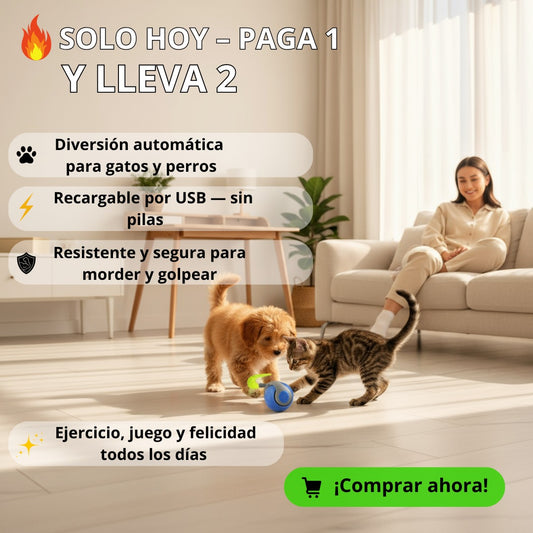 MovoCat* + Diversión para tu mascota.