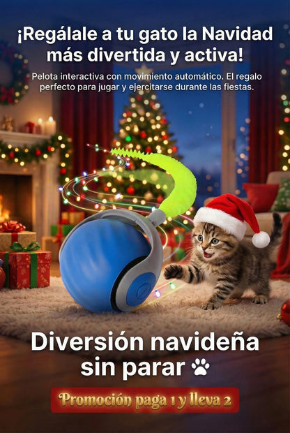 Movocat** Diversión para gatos